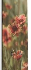 Λουλουδάκια, Φύση, Κρεμάστρες & Καλόγεροι, 45 x 138 εκ.