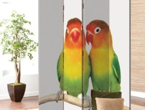 Παπαγάλοι, Ζώα, Παραβάν, 80 x 180 εκ. [Δίφυλλο]